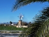 Windmühle bei Santa Eugenia