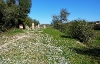 Santuari de Son Corró