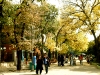 Boulevard in Varna