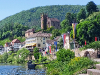 Blick auf Neckarsteinach