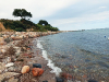 Am Ostsee-Strand Am Ostsee-Strand
