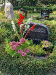 der obligatorische Besuch auf dem Friedhof