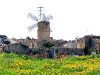 Windmühle in Algaida