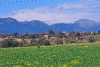 Blick auf die \"Tramuntana\"