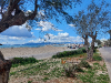An der \"Platja de Palma\"