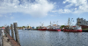 Im Hafen von Büsum