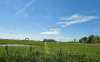 Landschaft Eiderstädt