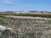 Durch die Dünen zum Strand