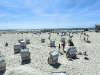 Geschafft ! Am Strand von SPO