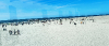 Geschafft ! Am Strand von SPO