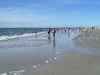 Bis zum Wasser geschafft !